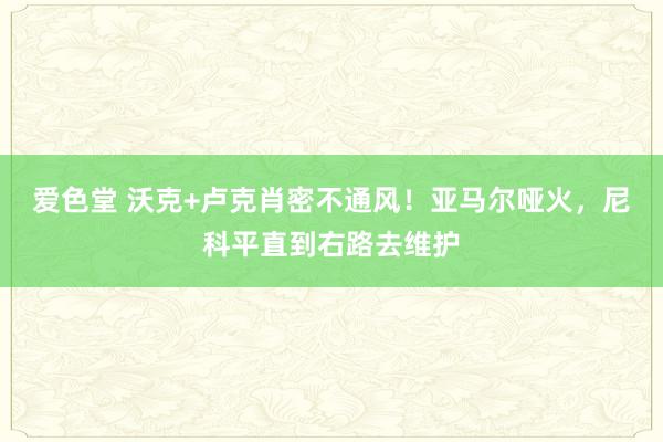 爱色堂 沃克+卢克肖密不通风！亚马尔哑火，尼科平直到右路去维护