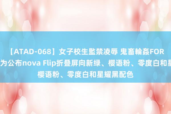 【ATAD-068】女子校生監禁凌辱 鬼畜輪姦FOREVER2 华为公布nova Flip折叠屏向新绿、樱语粉、零度白和星耀黑配色