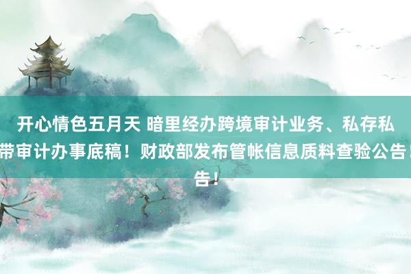 开心情色五月天 暗里经办跨境审计业务、私存私带审计办事底稿！财政部发布管帐信息质料查验公告！