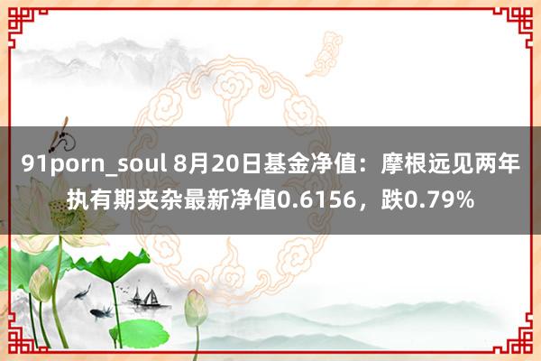 91porn_soul 8月20日基金净值：摩根远见两年执有期夹杂最新净值0.6156，跌0.79%