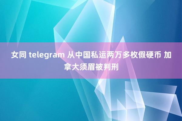 女同 telegram 从中国私运两万多枚假硬币 加拿大须眉被判刑